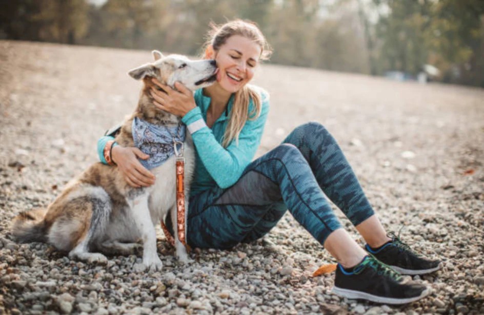 A New Era of Pet Wellness: Functional Treats and Integrated Supplement Delivery in 2026