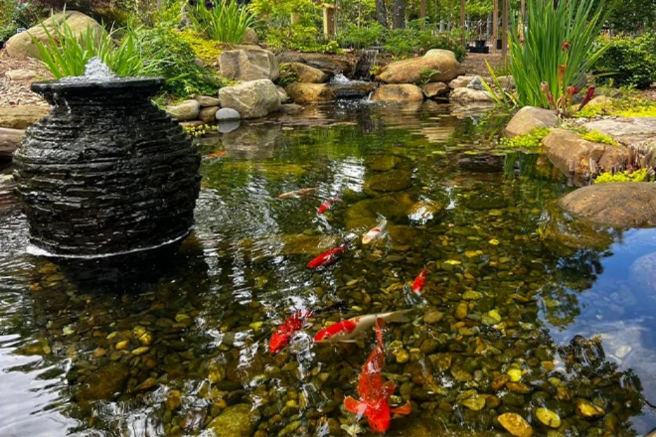 Understanding Koi Pond Filter Systems